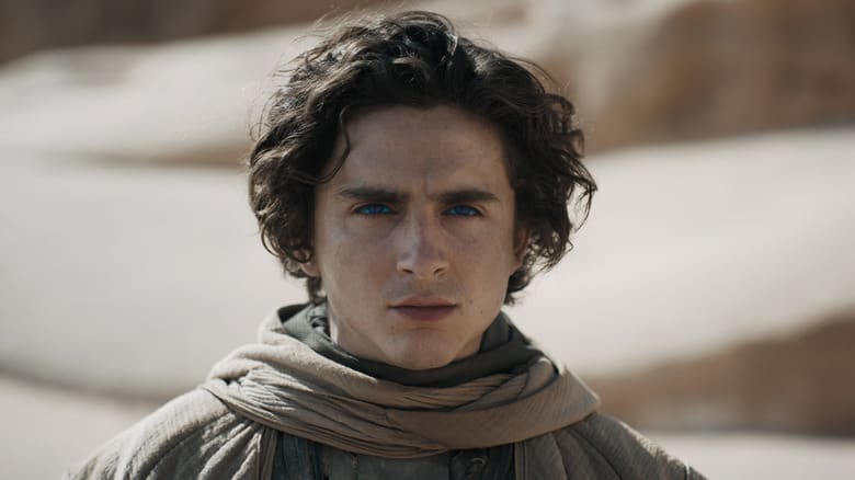 Timothée Chalamet: The Actor Shaping the Future of Cinema – film still
